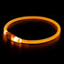 Led Dog Collar, BSEEN USB Rechargeable Flash Necklace Light for Small Medium Large Dogs, Orange
