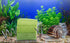 Fish Tank Vegetable Feeder - Aquarium Vegetarian Feeder, Bottom Sinking Fish Feeder, 5PCS