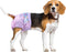 Disposable Female Dog Diapers, Puppy Diapers with Adjustable Elastic Waistline for Female