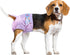Disposable Female Dog Diapers, Puppy Diapers with Adjustable Elastic Waistline for Female