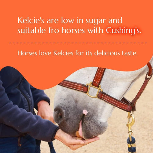 5 (1 Pack) Kelcies Pumpkin Spice Horses Treats - Low Sugar, Starch, and Carbohydrates | Healthy Treats for Horse