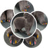 140pcs Cat Nail Caps - Kitten Caps 4 Glitter Colors + Colorful Cat Nails Caps Covers + Adhesive Glue