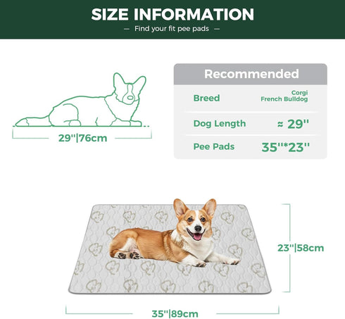FXW Washable Pee Pads for Dogs, Super Absorbent Puppy Pads, 35" x 23", 2 Packs