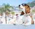 Unique Style Paws Dog Bandanas, Washable Cotton Square Bibs, Adjustable Kerchief for Small Medium Large Dogs and Cats