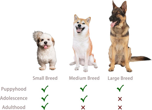 Jalousie Multipack Dog Squeaky Toys, Bulk Dog Toy for Small Medium Large Dogs (12 Pack Rope and Plush)