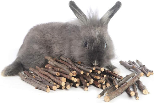 William Craft Apple Sticks - Pet Chew Toys Treats for Chinchilla, Guinea Pigs, Rabbits, Squirrel, Hamster, Bunny