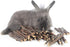William Craft Apple Sticks - Pet Chew Toys Treats for Chinchilla, Guinea Pigs, Rabbits, Squirrel, Hamster, Bunny