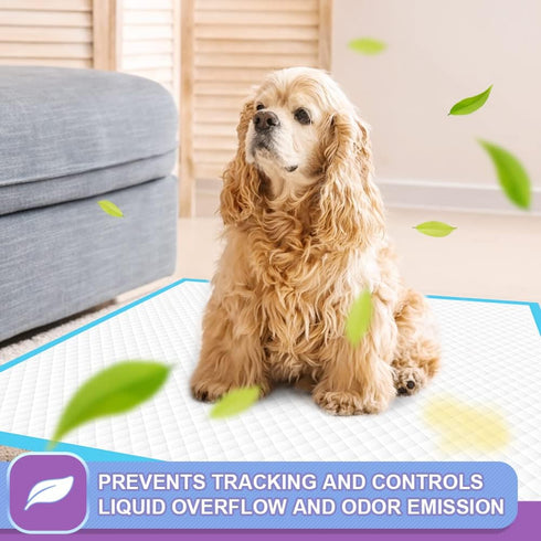 IMMCUTE Puppy Pee Pads 22"x23"-150 Count - Super Absorbent & Leak-Proof Disposable Pet Piddle and Potty Pads for