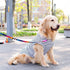 ANIAC Summer Dog Shirt for Medium Dog Girl Boy Striped Dog T-Shirt White Basic Tank Top Sleeveless Doggy Vest Spring Pet Clothes for Dog (White, 5XL)