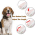 Pink Retractable Dog Leash, 10 ft for Small and Medium Dogs and Cats, One Button Brake, Pause, Lock by LFCXHTY