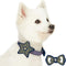 Blueberry Pet Adjustable Dog Collar with Metal Buckle and 2 Detachable Bowtie, Blue Asymmetric Stripe