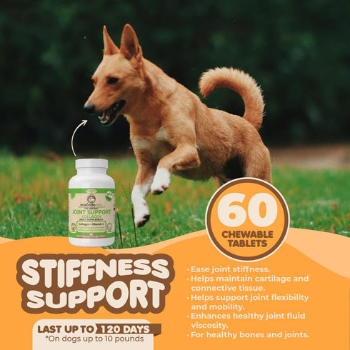 Collagen for Dogs & Cats - Joint Health Supplements with Vitamin C for Mobility - Bacon Flavored Tablets (60 Count)