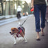 Idepet Heavy Duty Retractable Dog Leash, 26ft Leash for Small and Medium Dogs, Anti-Chewing Steel Chain Design