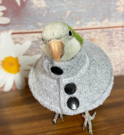 Adjustable Recovery Bird Cone Collar, Elizabeth Protective Collar, Safe Neck Sleeve for Preventing Bite and Licking