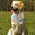 PET SHOW 4 Pack Paw Print Big Dog Bandanas Set - Reversible Adjustable Scarves for Medium Large Dogs