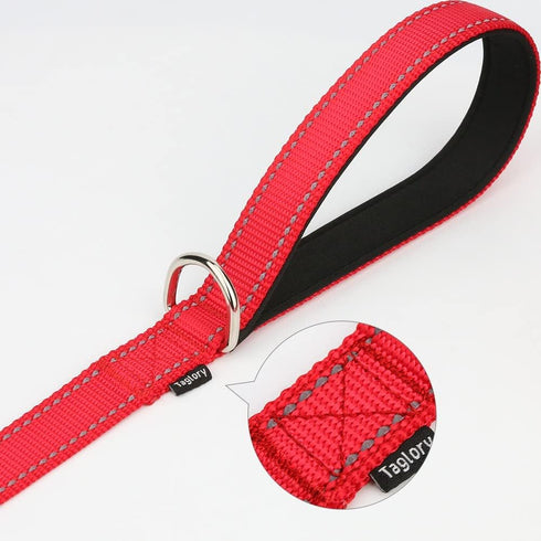 Taglory Dog Leash, Double-Sided Reflective, Soft Neoprene Padded Handle, 3/4 inch by 5 ft, for Dogs Under 20 lbs, Red