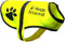 Safety Reflective Vest for Dogs - High Visibility for Outdoor Activity Day and Night