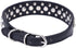 Dogs Kingdom Personalized Rhinestone Leather Bling Crystal Pet Dog Cat Collars, 12"-20" Length, Black S