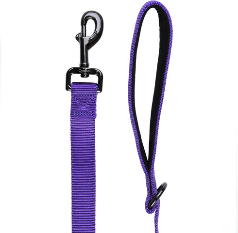 Advanced 4 Feet Dog Leash with Padded Handle, Sturdy Nylon Leads for Medium Large Dogs Walking, Training, Hiking, etc