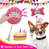 BINGPET Dog Birthday Bandana Set with Cake and Balloon, Party Supplies for Large Dogs, Pink