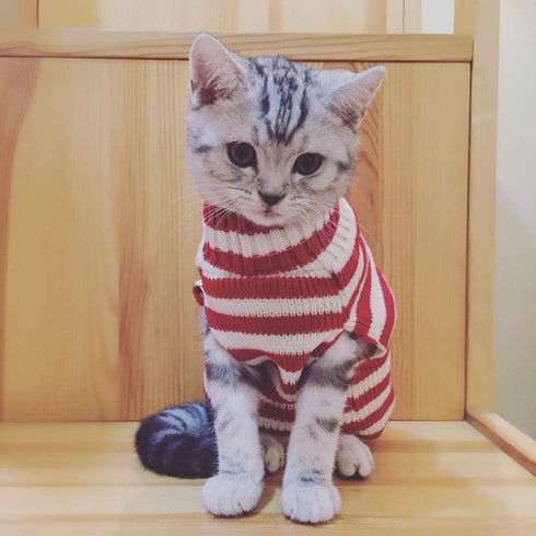 Cat Sweater Christmas Santa Claus Winter Knitwear for Pet Cat, Warm Clothes X-Small