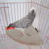Bird Parrot Corner Perch, Flat Platform Stand, Easy to Install, Safe and Stable Hardwood Bird Cage Perches (XL)