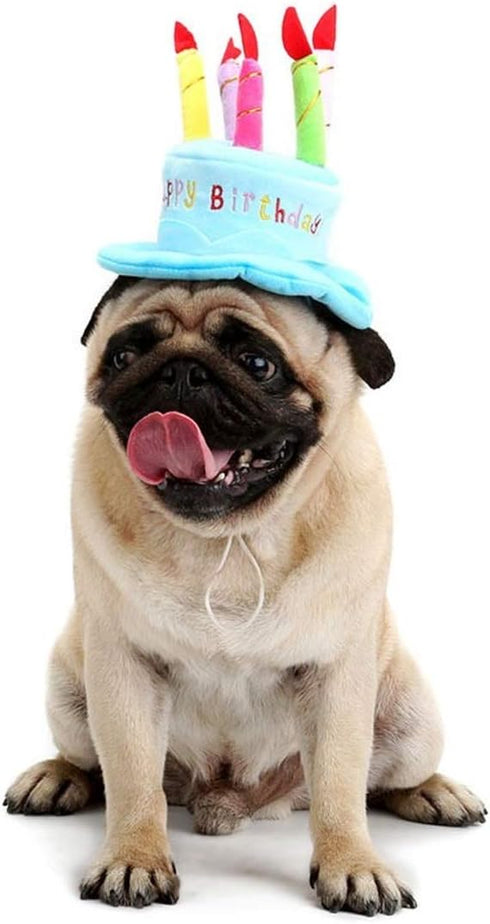 Cute Dog Cat Birthday Cake Hat, Pet Cap with 5 Color Candles Design, Custom Accessory (One Size Fits Most, Blue)