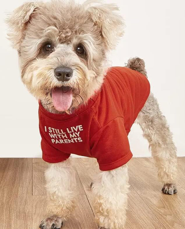 Cute Dog Clothes - Red Dog T Shirt for Medium Dogs, Small Dogs, Puppy, Breathable Soft Pet Pullover Jumper, Cat Clothes