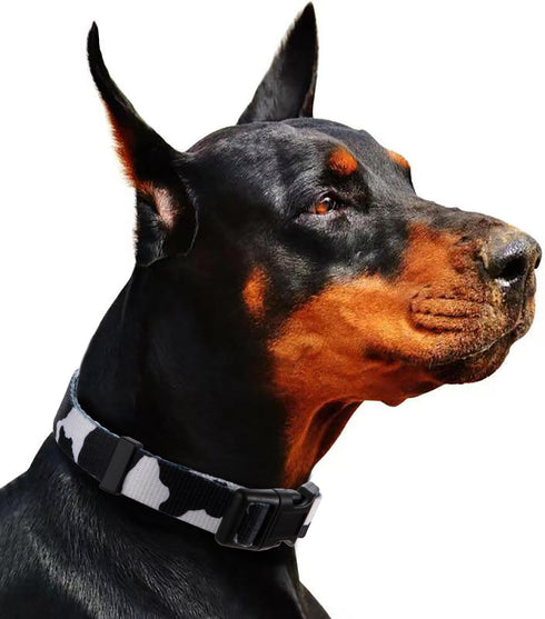 Rhea Rose Cow Print Dog Collar, Animal Pattern in White and Black for Large Dogs