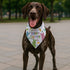YJIKRTVT Easter Dog Bandanas, Happy Easter Bunny Pet Scarf, Adjustable Triangle Bib for Small Medium Dogs, Cute Easter