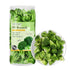 YJSLSQIYP Freeze-Dried Broccoli Crunch - 100% Natural, No Additives | 1.76oz (50g) |