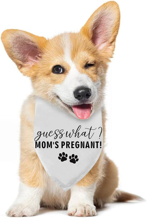 Guess What? Mom's Pregnant Dog Bandana Pregnancy Announcement Baby Announcement Dog Bandana for Dogs Pregnancy