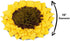 19 19, Snuffle Mat for Dogs Sunflower, Large Dog Snuffle Mat x Plush Enrichment Toy Slow Feeder, Mental Health Puppy