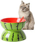 Hamiledyi 5In Elevated Wide Ceramic Cat Bowl for Food and Water, Anti Vomiting Tilted Pet Feeder Dish (Watermelon)