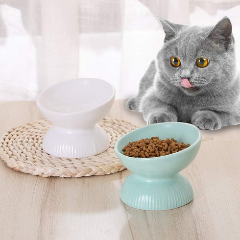 Raised Cat Food Bowls Ceramic, Tilted Elevated Bowls Anti Vomiting, 4.9 in Small Cat Bowl for Dry Wet Food, 4oz