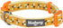 Blueberry Pet Essentials 10 Patterns Statement Busy Bees Designer Adjustable Dog Collar, Medium, Neck 14.5"-20"