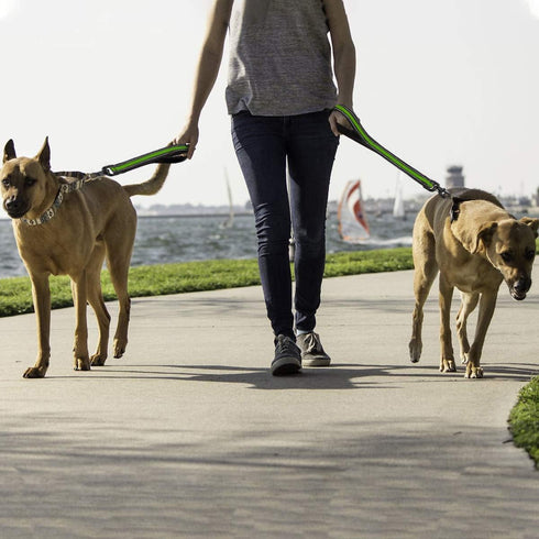 Short Dog Leash, Nylon Traffic Leash with Padded Handle, Reflective Threads for Small Medium Large Dogs