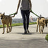 Short Dog Leash, Nylon Traffic Leash with Padded Handle, Reflective Threads for Small Medium Large Dogs