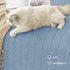 Waterproof Anti-Slip Dog Bed Cover and Pet Blanket, 40x50 Inch Sofa Pet Bed Mat for Cats Dogs