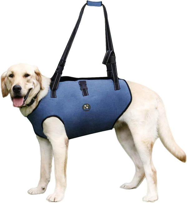 Coodeo Dog Lift Harness, Adjustable Padded Support Sling for Old & Disabled Dogs, Breathable Straps (Blue, L)