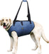 Coodeo Dog Lift Harness, Adjustable Padded Support Sling for Old & Disabled Dogs, Breathable Straps (Blue, L)