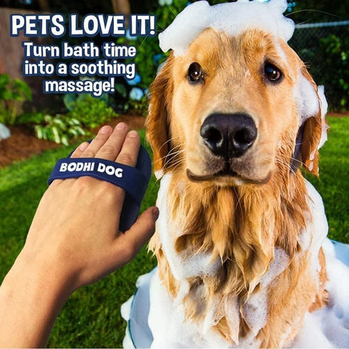 Bodhi Dog Shampoo Brush - Pet Grooming & Bath Supplies for Cats and Dogs, Two Pack, Blue