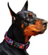 Rhea Rose Girl Dog Collars, Fall Daisy Pattern Colorful Flowers Print for Female Dogs (Dark Purple, Large)