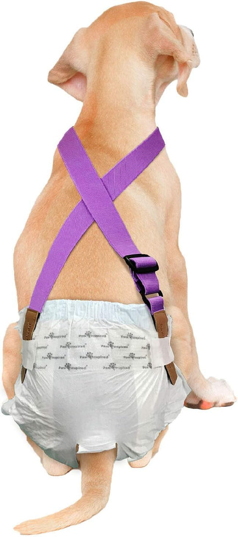 Paw Inspired Dog Diaper Suspenders, Adjustable Velcro Fasteners for Disposable & Washable Diapers, Fits M/L Pets