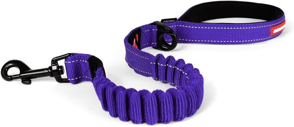 EzyDog Zero Shock Leash, Best Shock Absorbing Bungee Dog Leash, Double Handle Reflective for Walking, 25-Inch, Purple