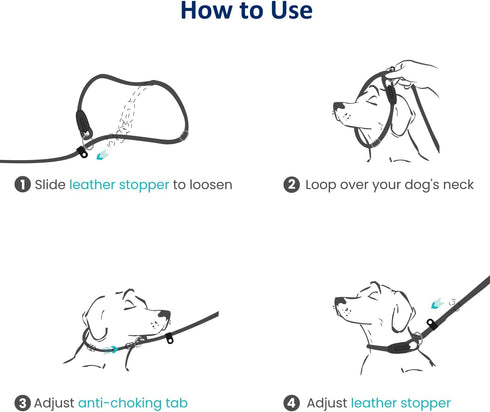 WePet 6 ft Dog Training Slip Leash: No Pull, Durable Reflective Lead, Comfortable Handle, 3/8 inch Diameter, Black/White