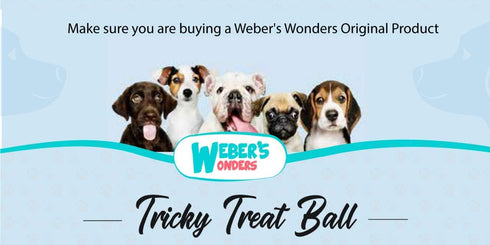 Weber's Wonders Set of 2 Paw Tricky Treat Ball - Dog Toy, Food Dispensing Non-Toxic Rubber Interactive Toy for Pets