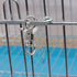 10pcs Stainless Steel Pet Birds Cage Metal Hook Clip, Iron Door Buckle Lock for Bird Cage (Silver)
