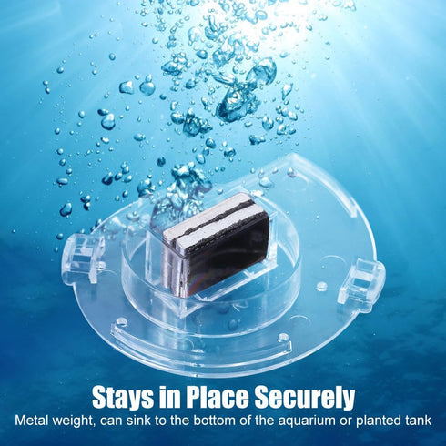 MiOYOOW Planaria Trap, Transparent Planaria Catcher for Aquarium Fish Tank Planaria Leech Small Snail