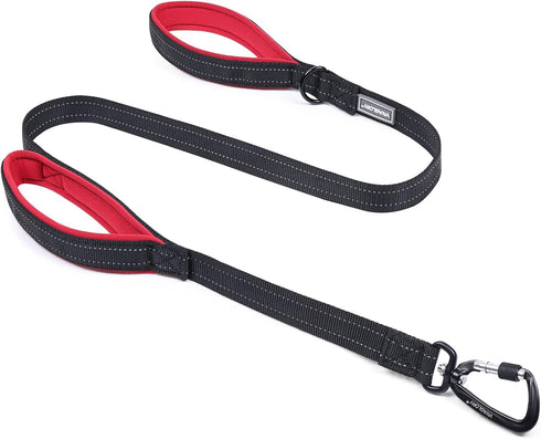VIVAGLORY Dog Leash - Heavy Duty 4FT Nylon Lead with Aluminum Clasp & 2 Padded Handles, Black